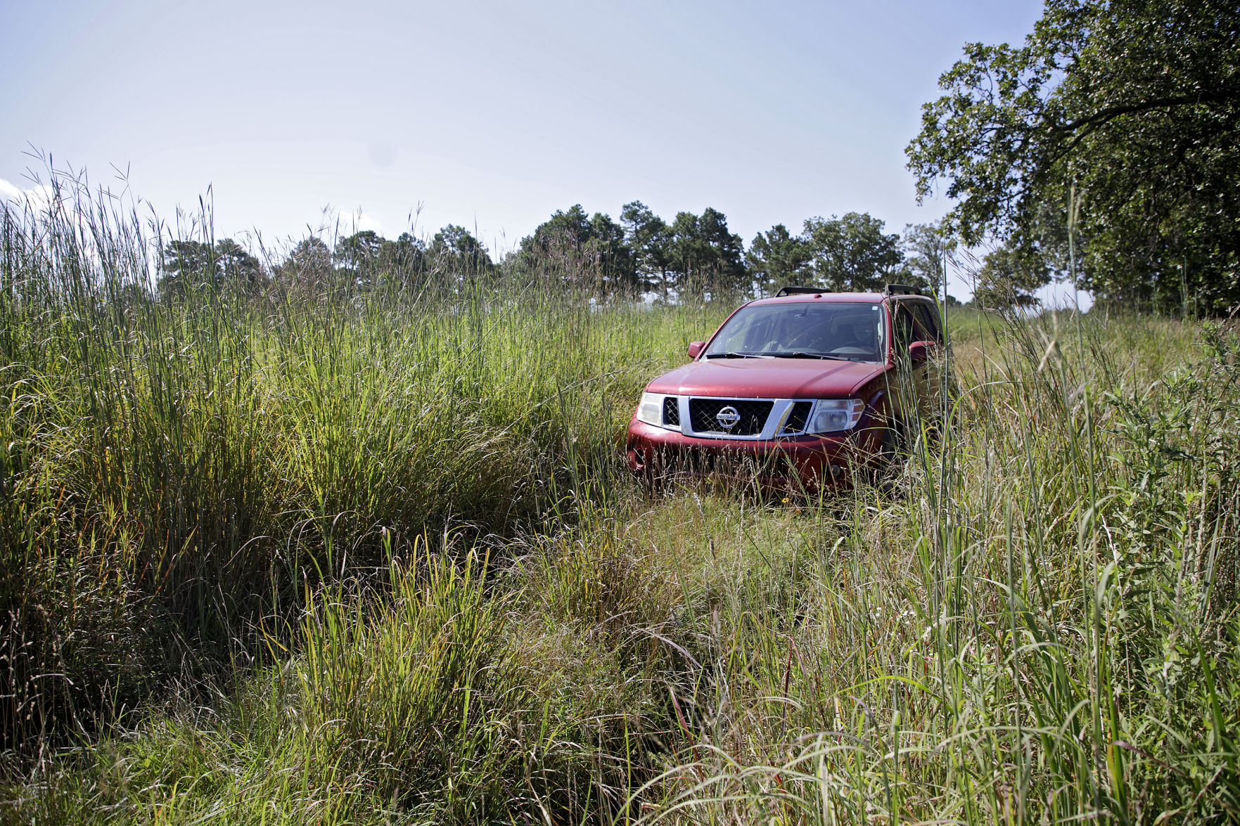 NICKEL PRESERVE